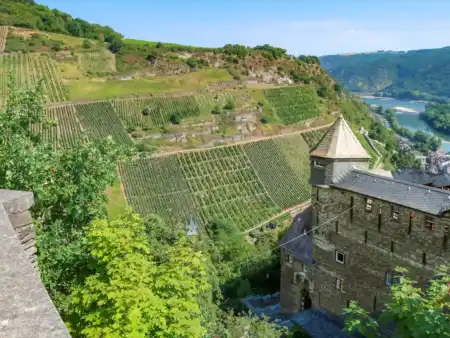Vinice nad Bacharachom