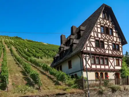 Bacharach Vinice