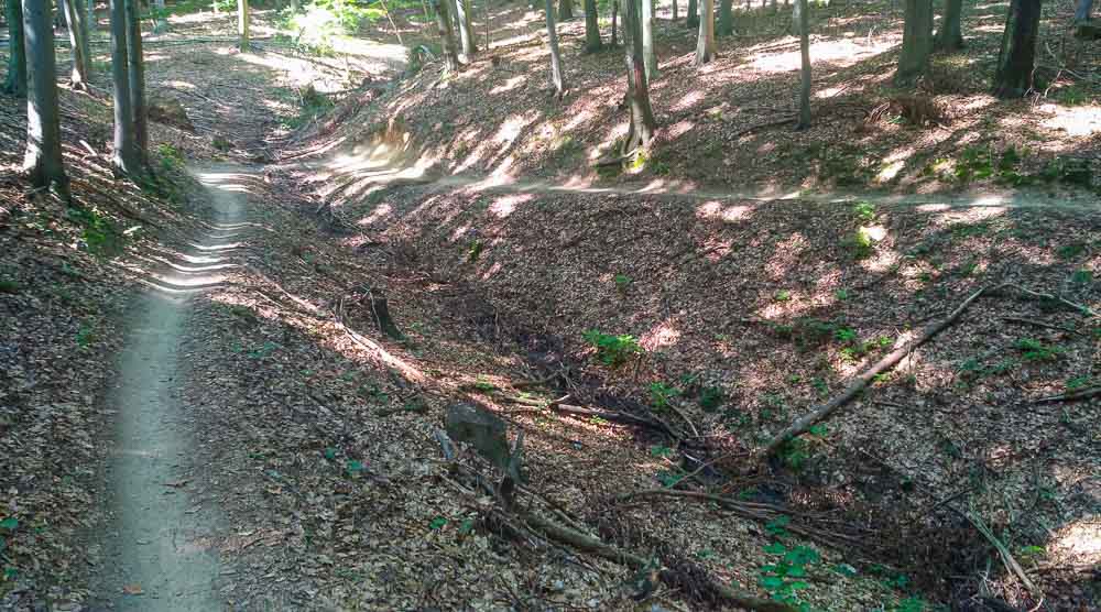 Cerova dráha - Malokarpatský MTB singletrail