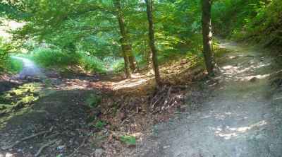 Cerova dráha - Malokarpatský MTB singletrail