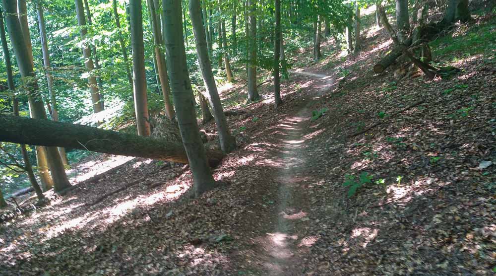 Cerova dráha - Malokarpatský MTB singletrail