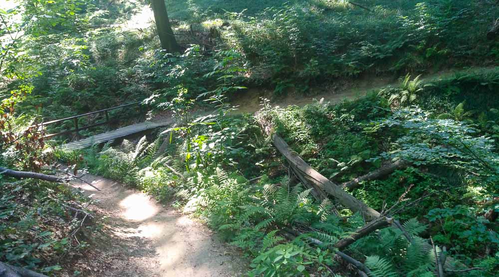 Cerova dráha - Malokarpatský MTB singletrail