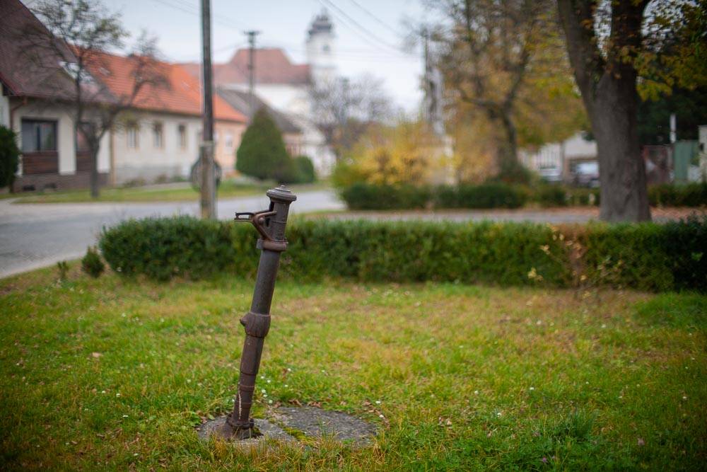 Zamyslenie nad hovädzím s chrenom a horčicou