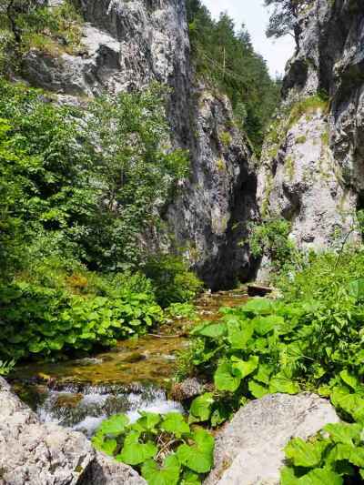 Prosiecka a Kvačianska dolina, rodinný výšľap cez Oblazy