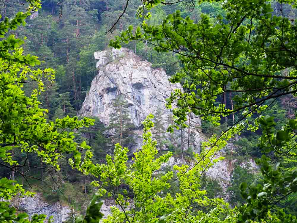 Prosiecka a Kvačianska dolina, rodinný výšľap cez Oblazy