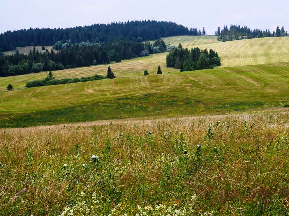 Prosiecka a Kvačianska dolina, rodinný výšľap cez Oblazy