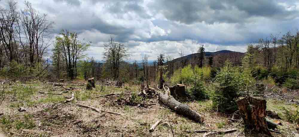 MTB po hrebeni pohoria Tríbeč