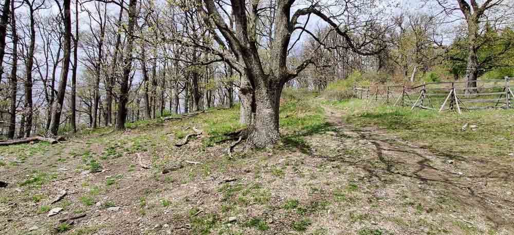 MTB po hrebeni pohoria Tríbeč