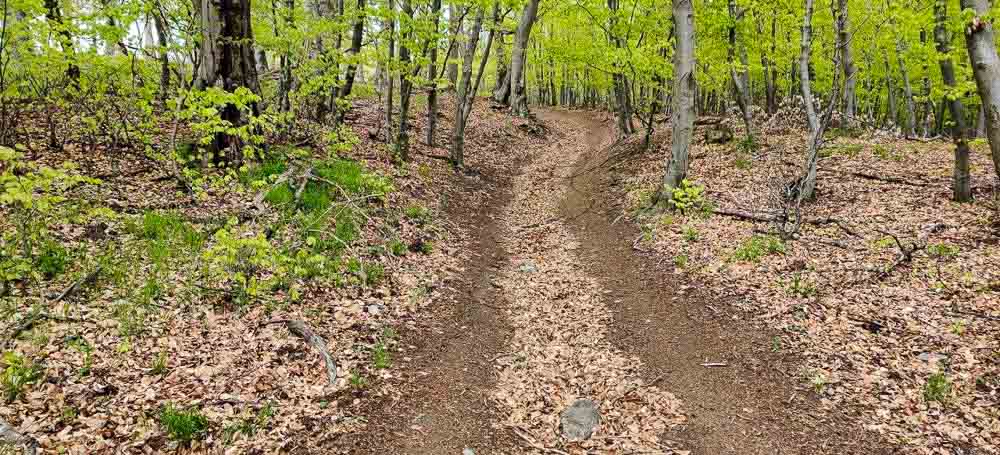 MTB po hrebeni pohoria Tríbeč