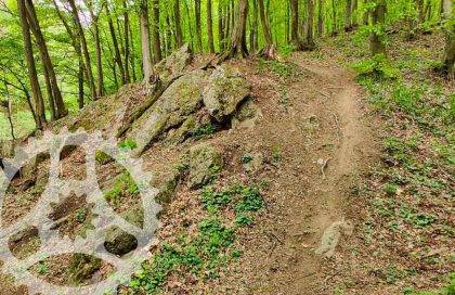 MTB po Malokarpatských singletrailoch: Trail Biely Kríž