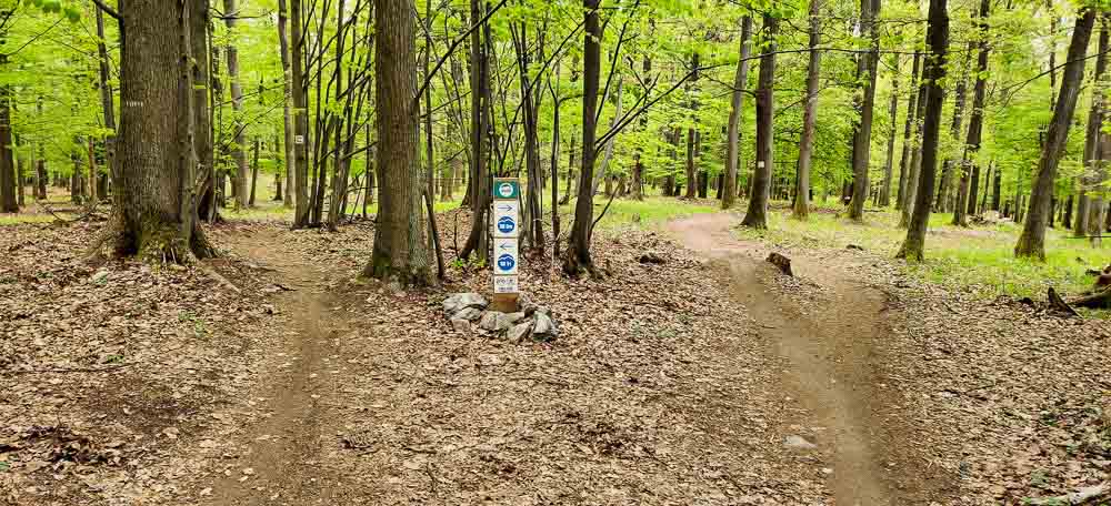 Malokarpatské MTB singletraily Biely Kríž 2