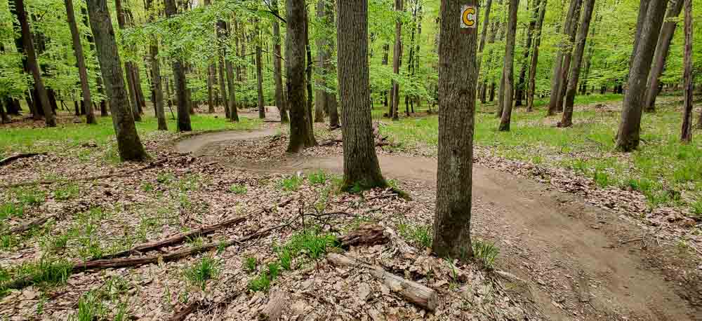 Malokarpatské MTB singletraily Biely Kríž 2