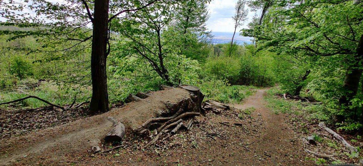 Baník: Malokarpatský hravý singletrail v blízkosti Slalomky