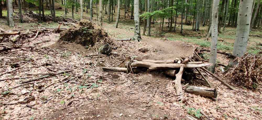 MTB Technicky náročný singletrail FREERIDKA neďaleko Smolenického hradu.