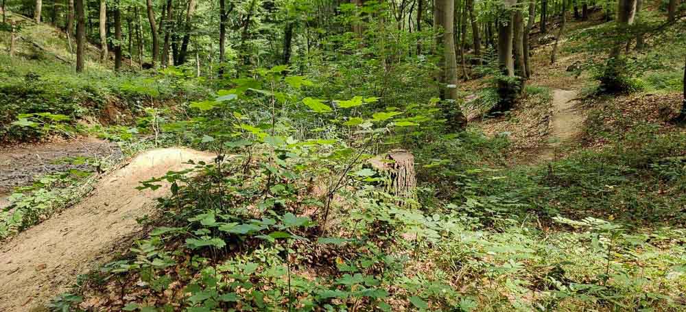 MTB Technicky náročný singletrail FREERIDKA neďaleko Smolenického hradu.