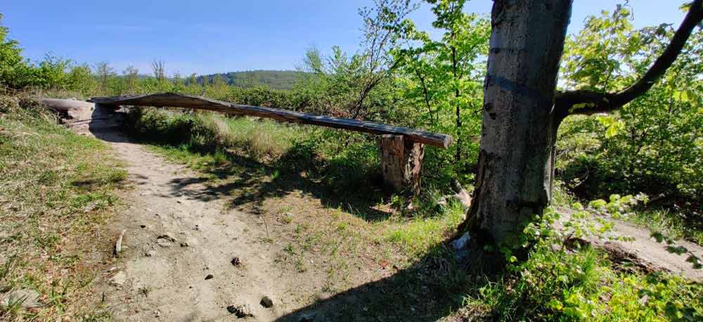 Slalomka single trail Malé Karpaty