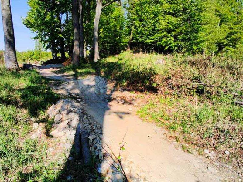Slalomka single trail Malé Karpaty