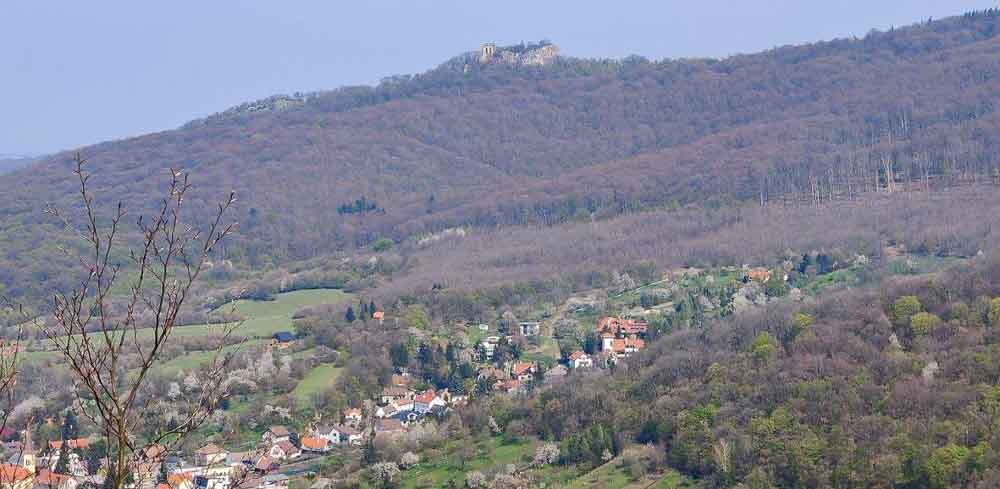 Single track Svatý vrch