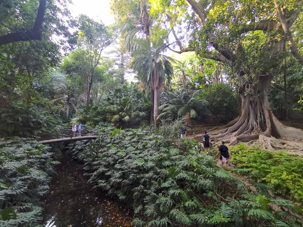 Jardin de La Concepción