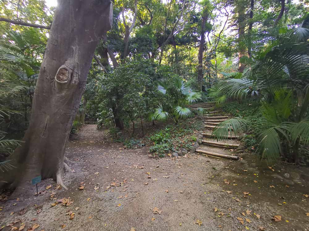 Jardin de La Concepción