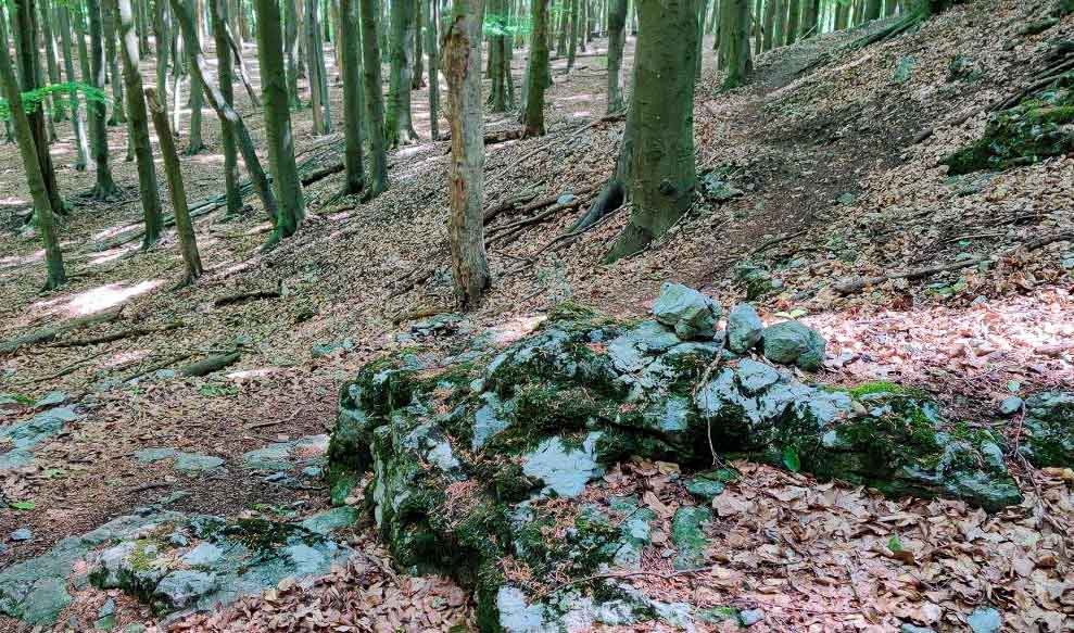 Banské: náročný malokarpatský MTB singel nad Lozornom