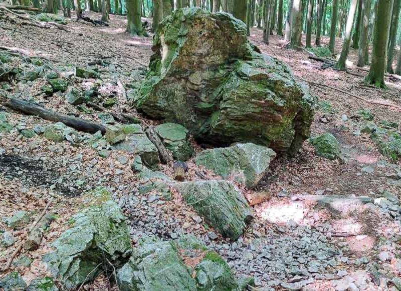 Banské: náročný malokarpatský MTB singel nad Lozornom