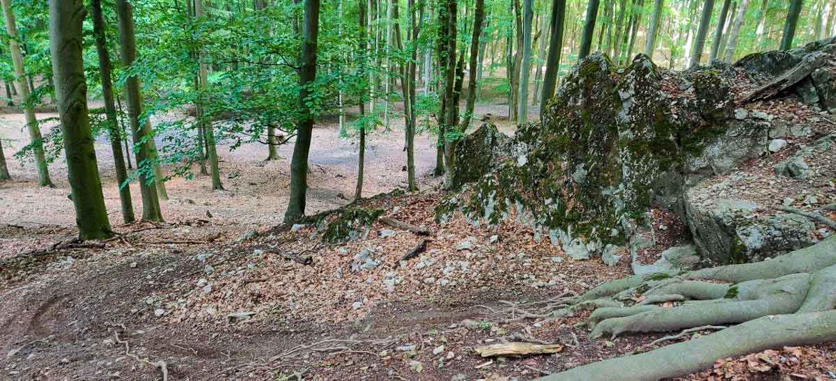 Banské: náročný malokarpatský MTB singel nad Lozornom