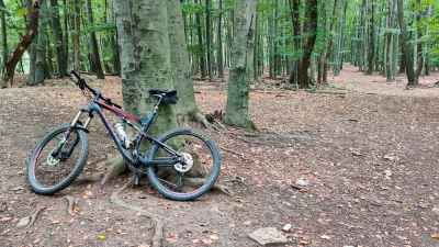 Single trail OHEK Malé Karpaty