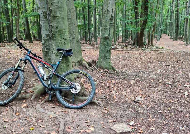 Single trail OHEK Malé Karpaty