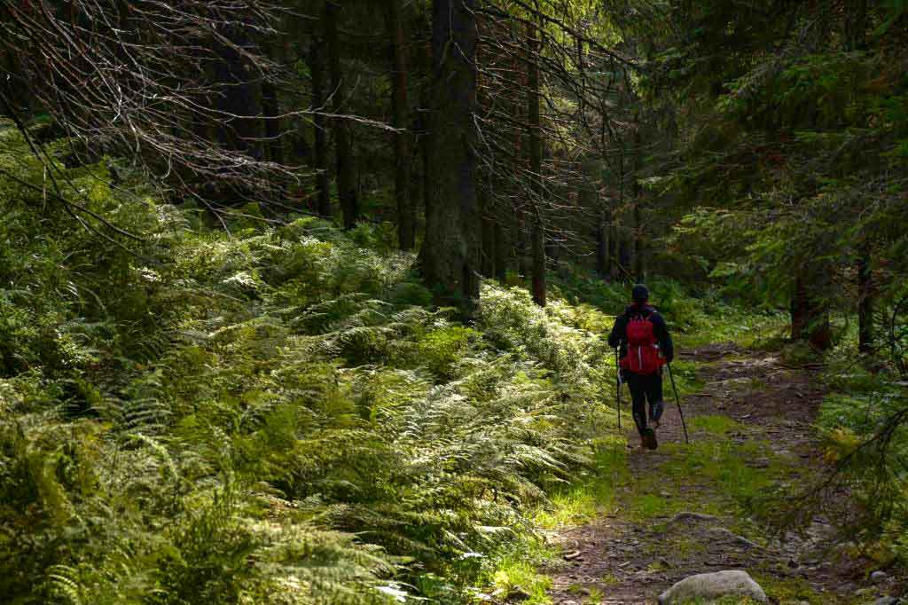 Ďurková Nízke Tatry Magurka