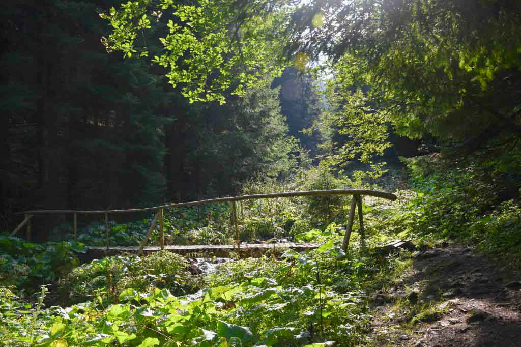 Ďurková Nízke Tatry Magurka