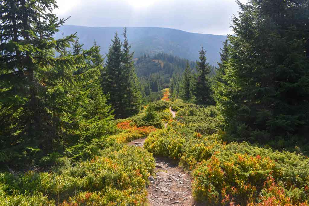 Ďurková Nízke Tatry Magurka