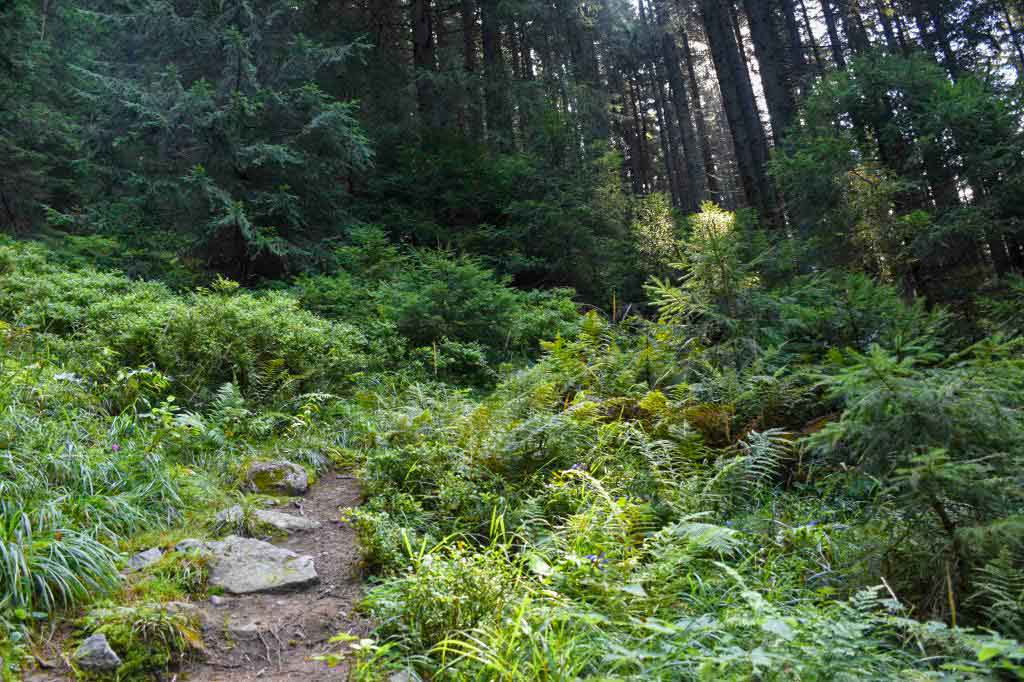 Ďurková Nízke Tatry Magurka