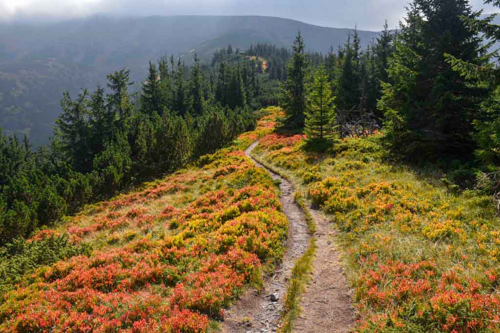 Ďurková Nízke Tatry Magurka