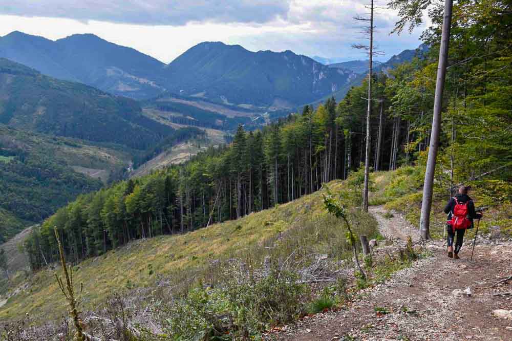 Hladní Vlci na Veľkom Rozsutci