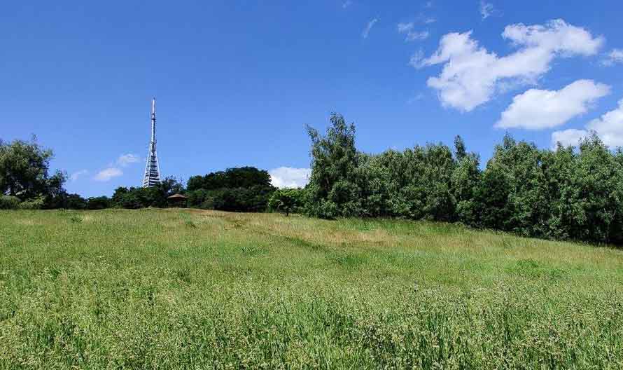 MTB singletrail Krivé jarky Malé Karpaty