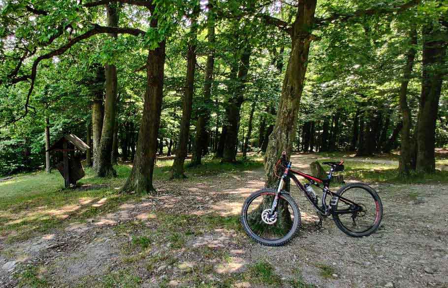 MTB singletrail Krivé jarky Malé Karpaty