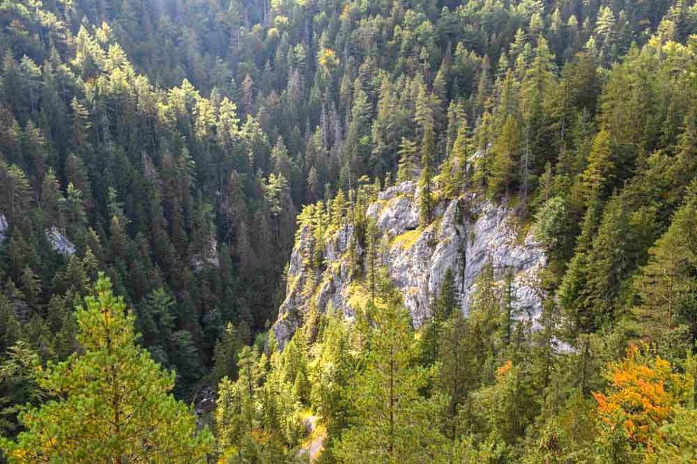 Prosiecka a Kvačianska dolina