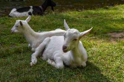 Prosiecka a Kvačianska dolina