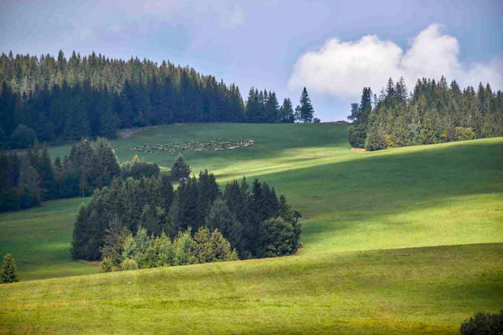 Prosiecka a Kvačianska dolina