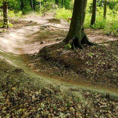 MTB Singletrack TBK 1: Nádherný flow nad Bratislavou