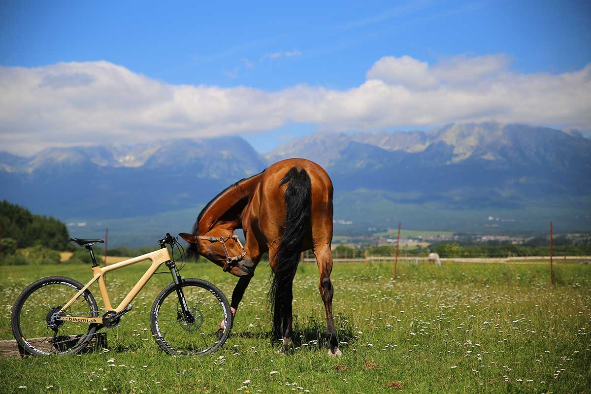 Michal Iždinský: Ako sa vyrába drevený bicykel v období nanotechnológií