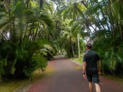 Prezidentské záhrady