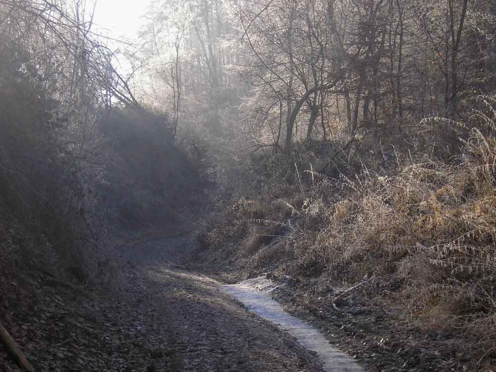 Spomienková túra na Soví hrad a Pohanský hrad