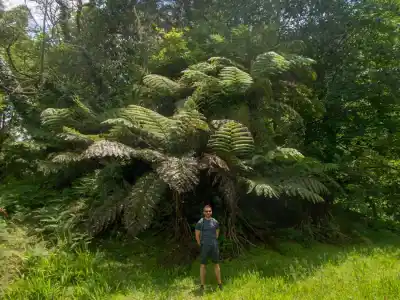 okolo jazera Lagoa das Furnas
