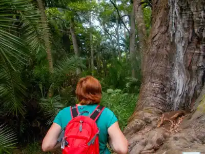 Výstup k vodopádu salto do Prego