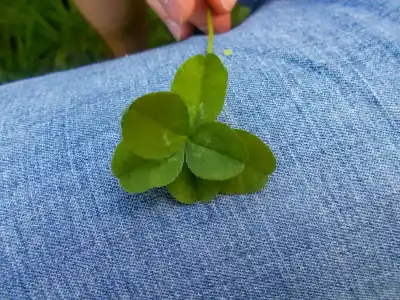 Šesťlístok pe šťastie