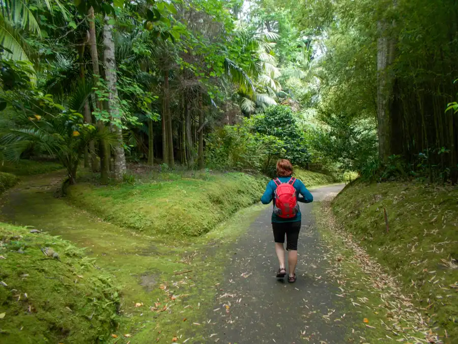 Park Terra Nostra je nádherná botanická záhrada 