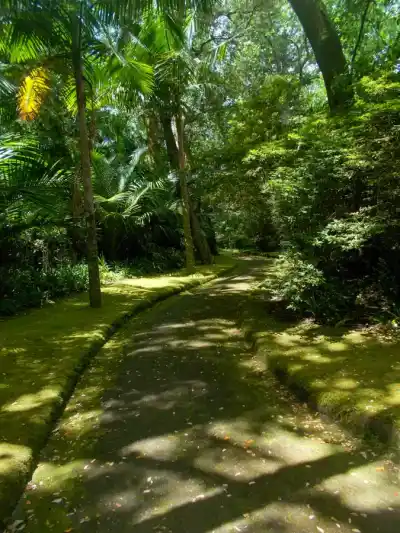 Park Terra Nostra je nádherná botanická záhrada