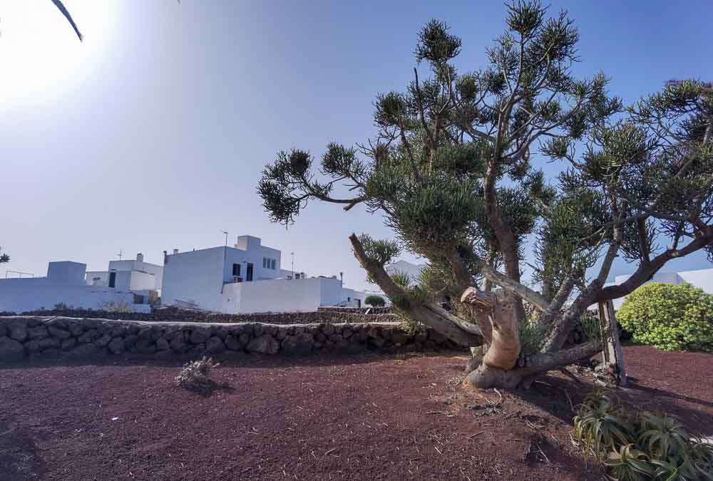 Lanzarote hiking: Výstup na sopku Caldera Blanca